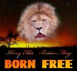 Kerry Ellis & Brian May 'Born Free'