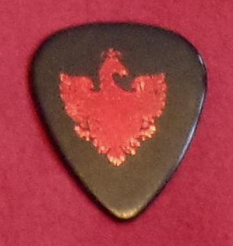 Brian May plectrum